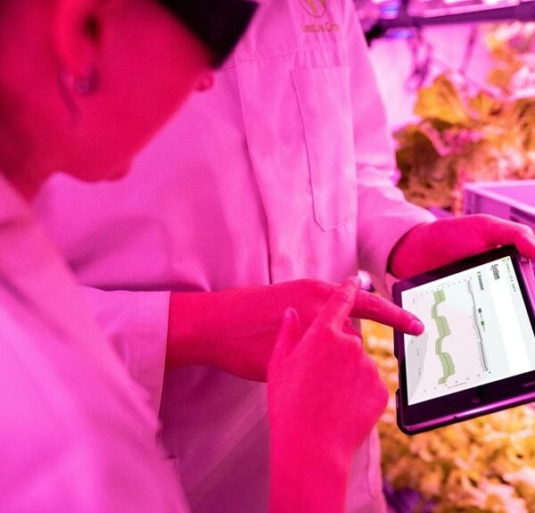 Maximize Your Growth 515430498 Digital Tools